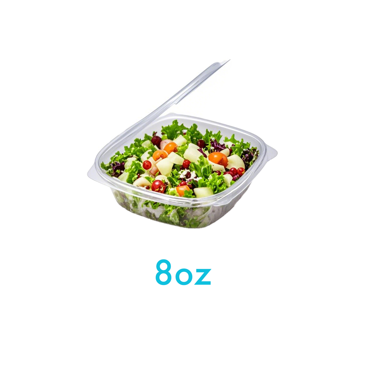 8oz - PET Clear Hinged Containers - Carton of 200