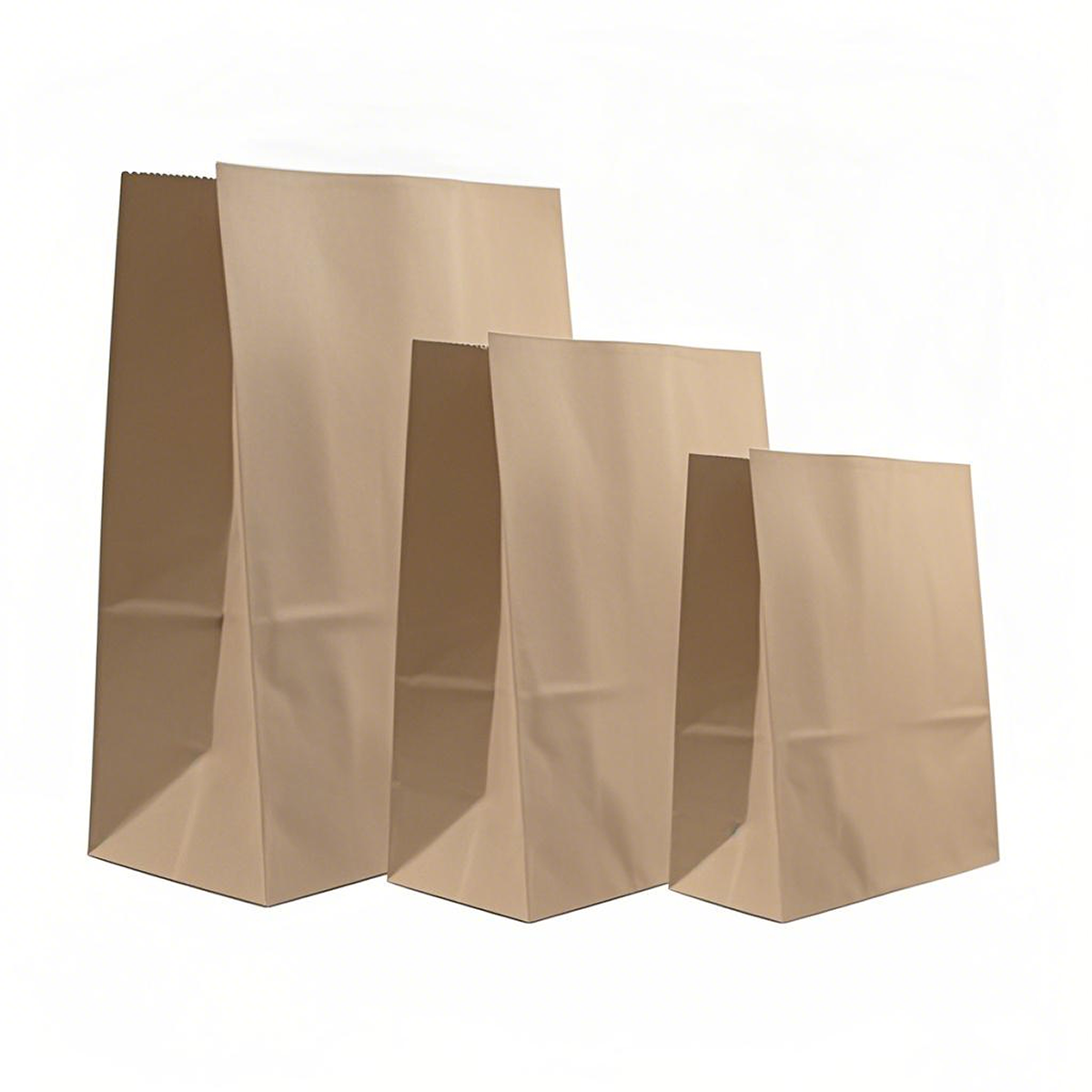 #20 Grocery Bags 8.25x5x15.75 inches - Carton of 500