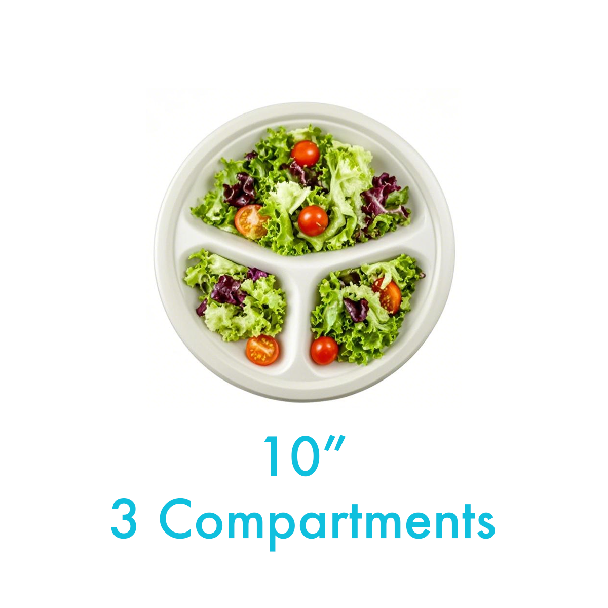 10" - Bagasse Round Plate - 3 Compartments - Carton of 500