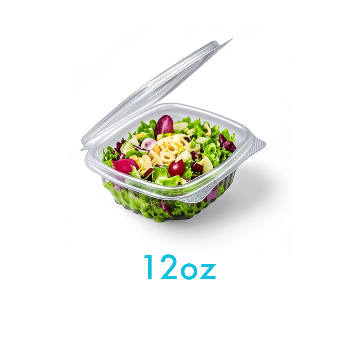 12oz - PET Clear Hinged Containers - Carton of 200