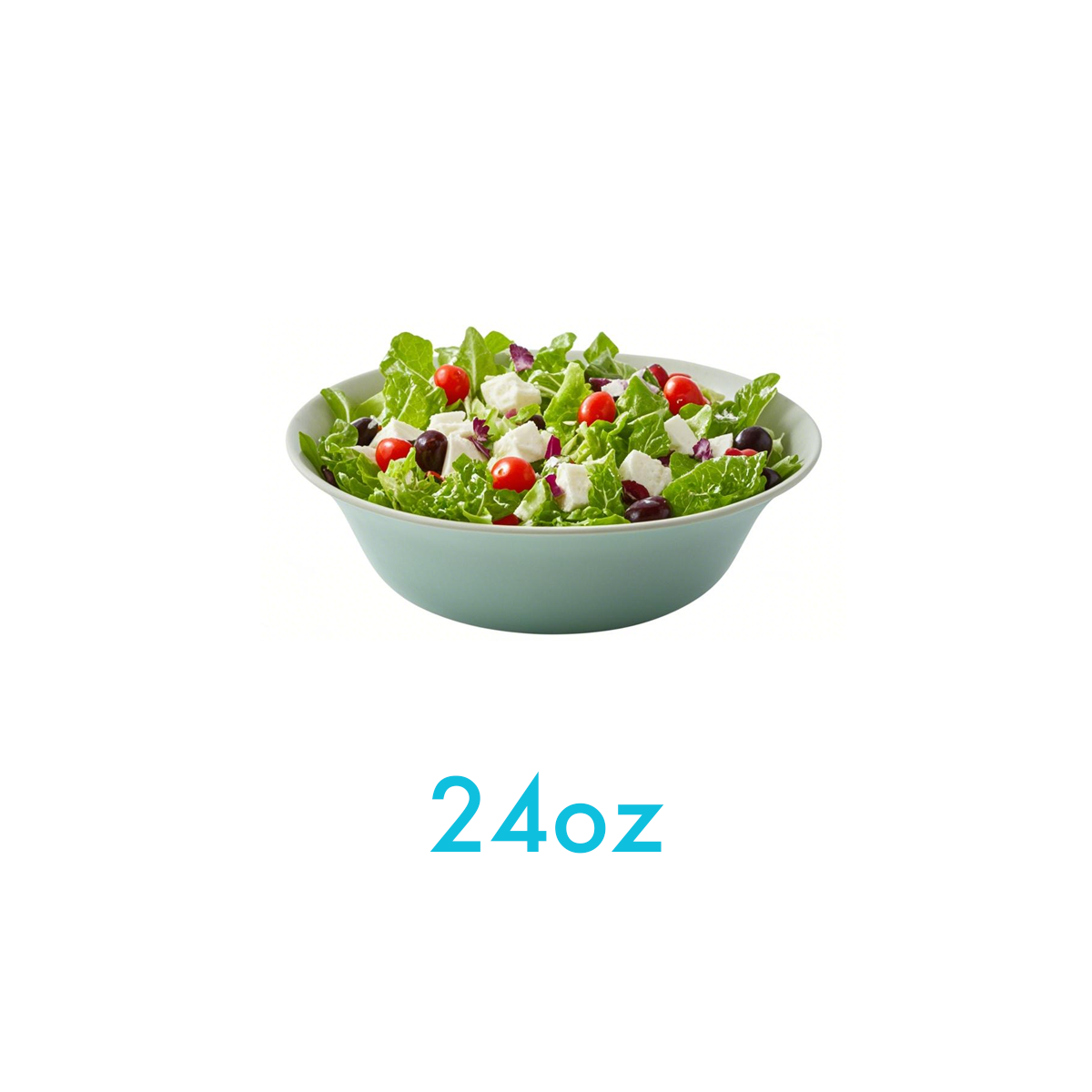 24oz - Bagasse Round Bowl - Carton of 300