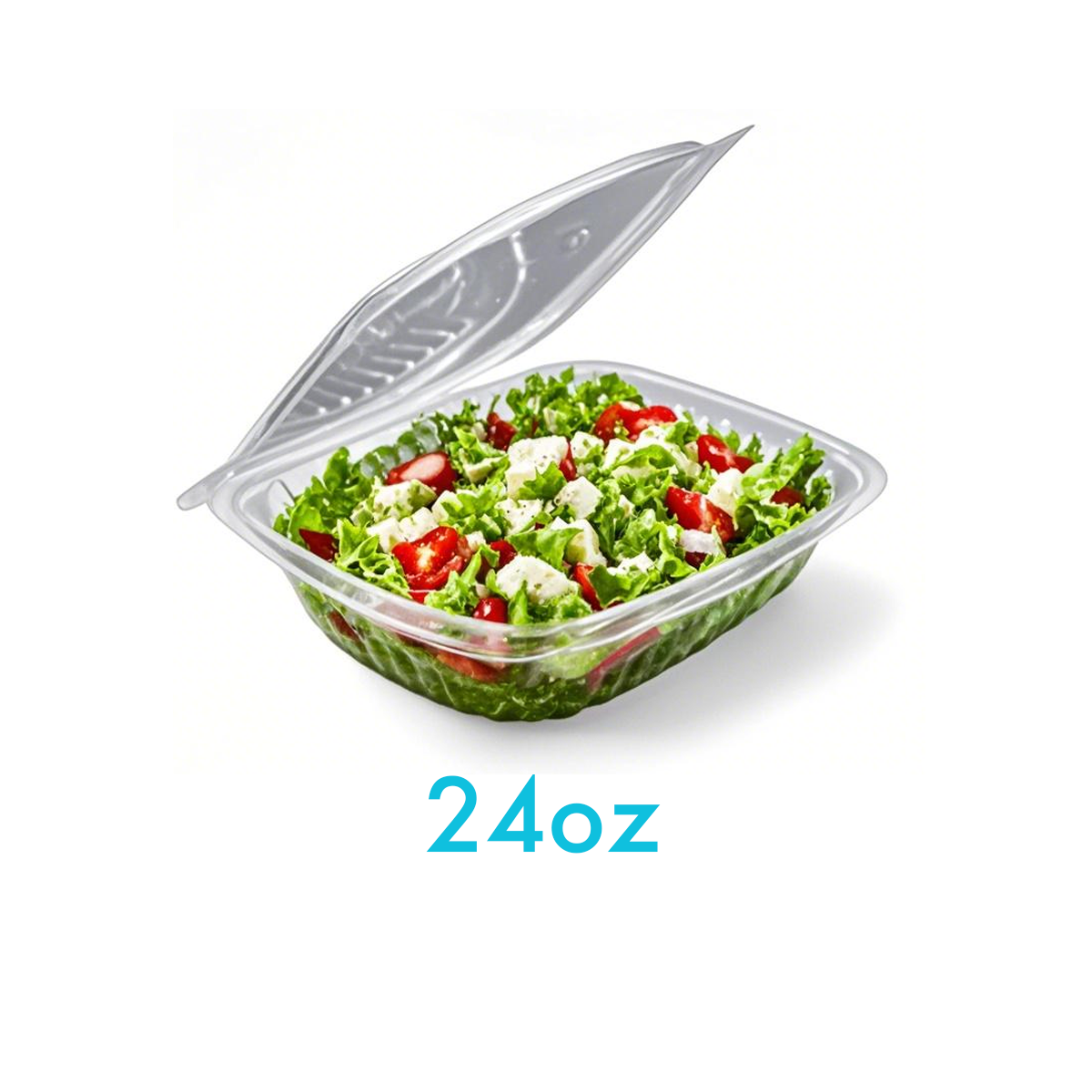 24oz - PET Clear Hinged Containers - Carton of 200