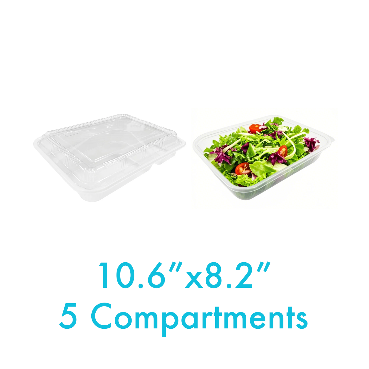10.6" x 8.2" - PP Bento Boxes Sets 5 Compartments - Carton of 200