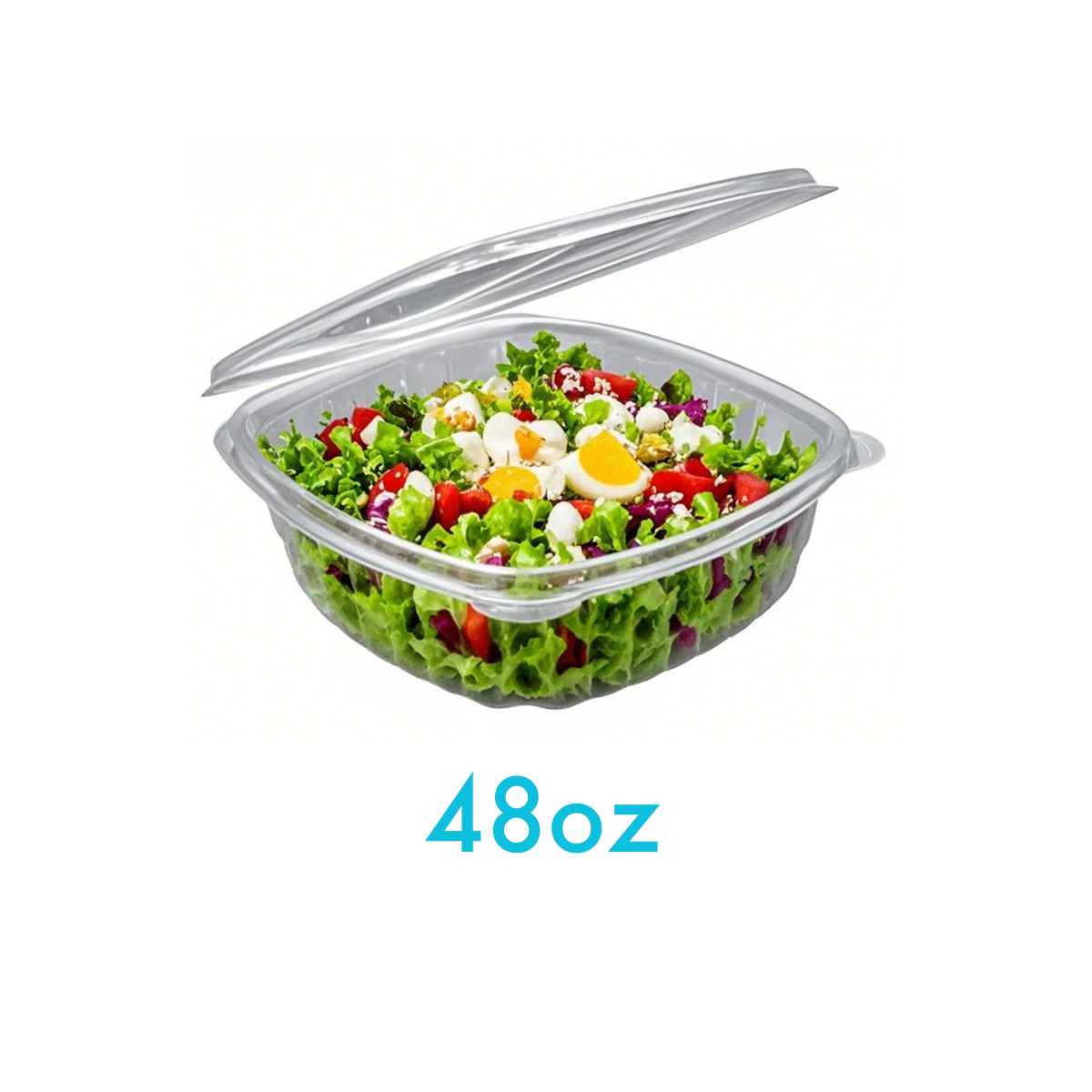 48oz - PET Clear Hinged Containers - Carton of 200