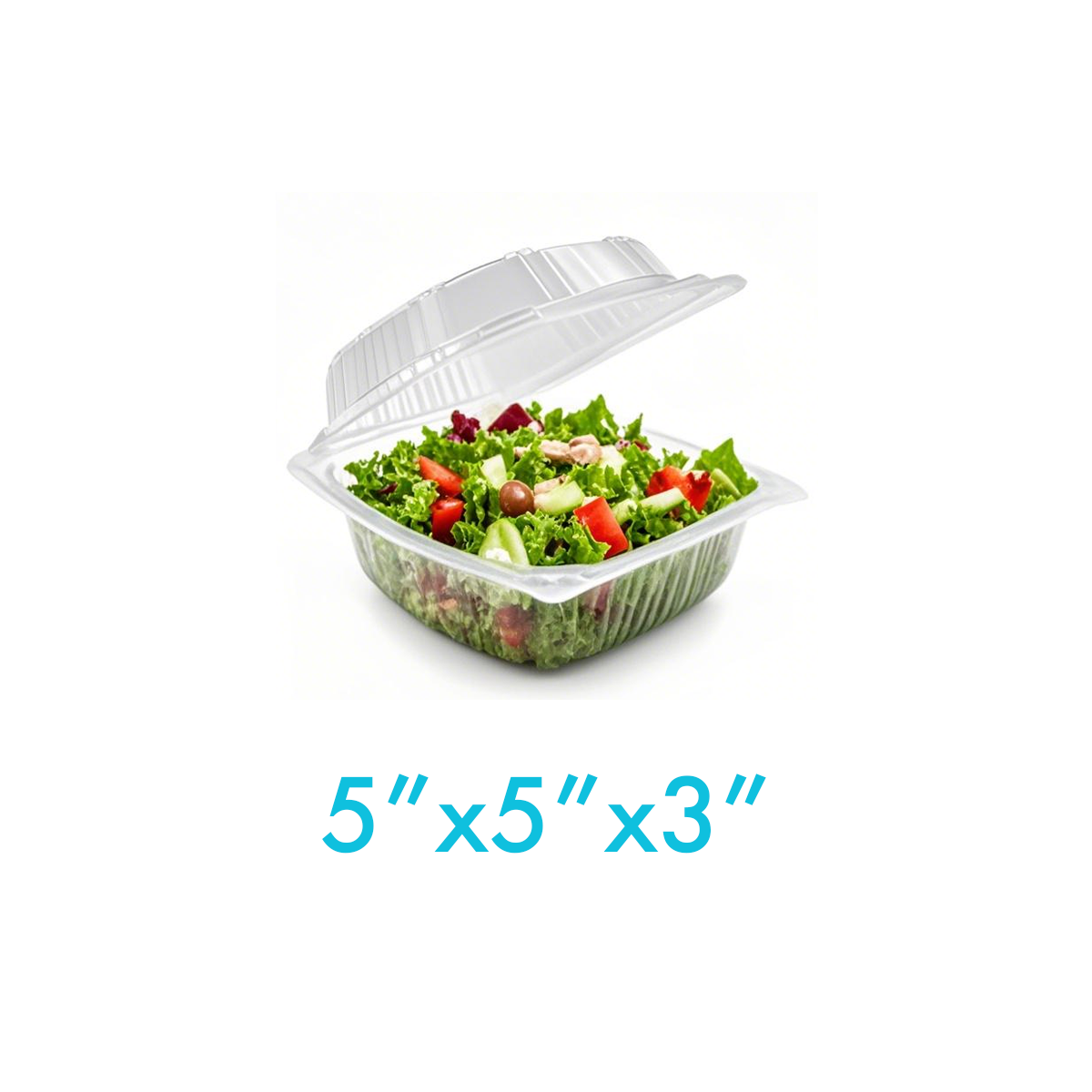 5" - PP Clear Hinged Containers Heat Resistant - Carton of 400