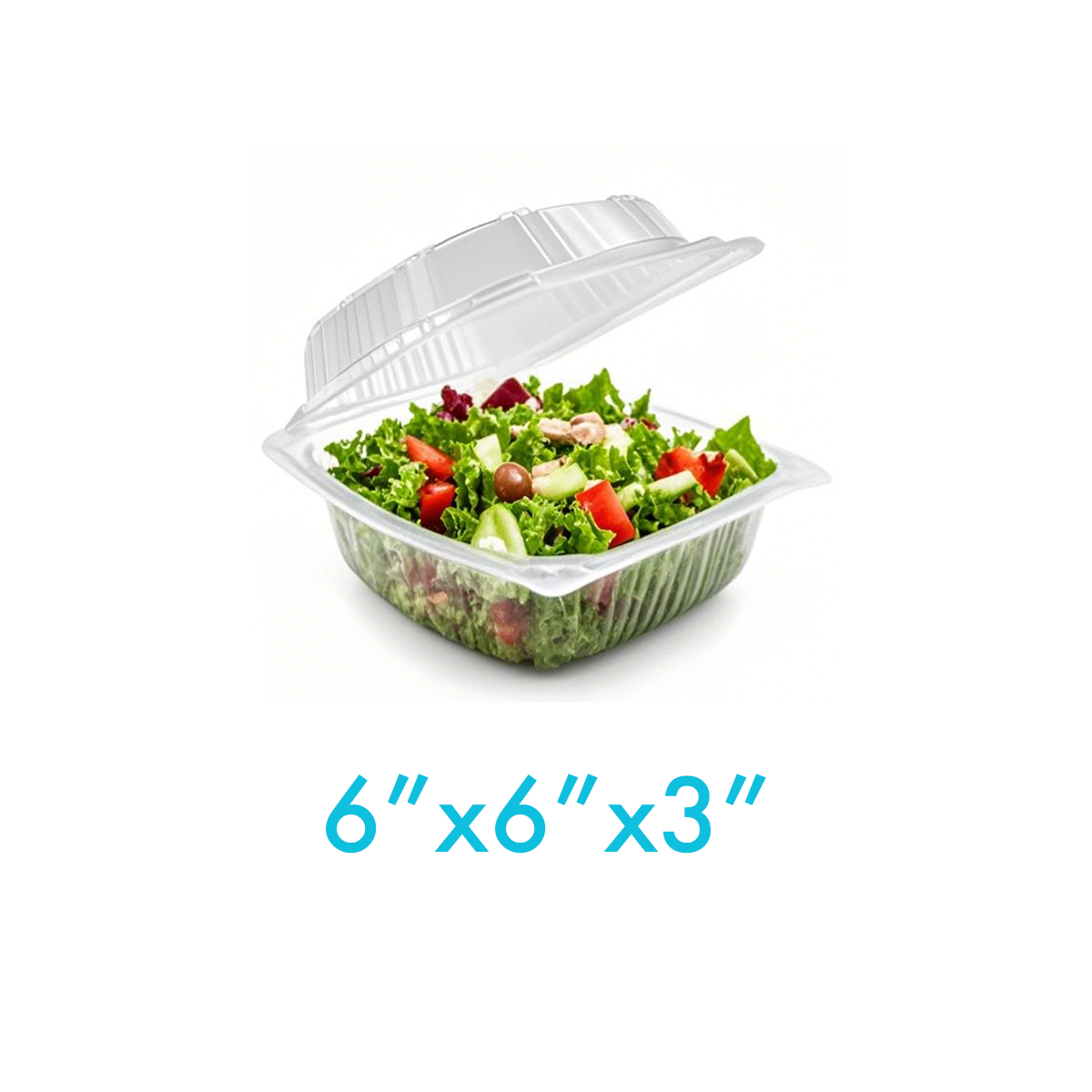 6" - PP Clear Hinged Containers Heat Resistant - Carton of 400
