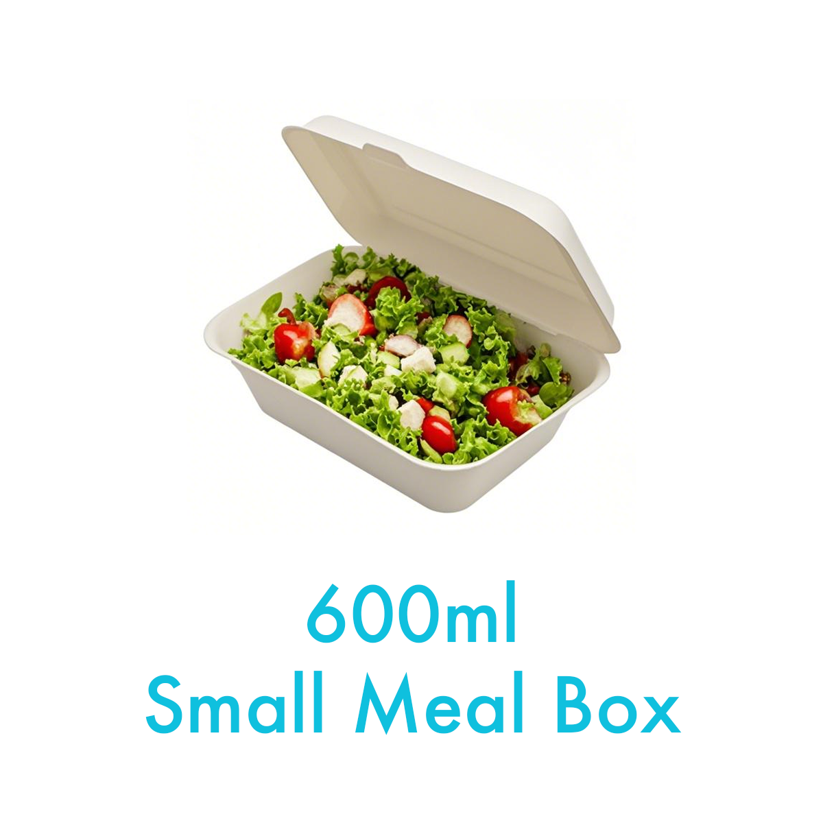 600ml - Bagasse Clamshell Small Meal Box - Carton of 600