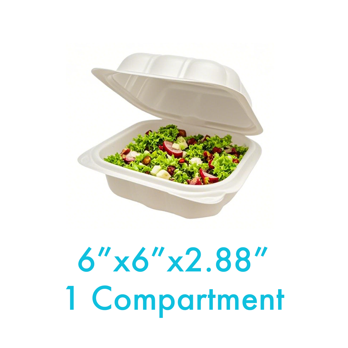 6" x 6" x 2.88" - Pebble Clamshell Hamburger Box - Carton of 250