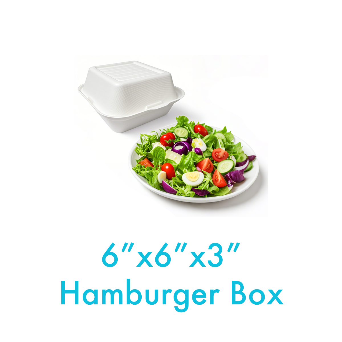 6" - Bagasse Clamshell Hamburger Box - Carton of 400
