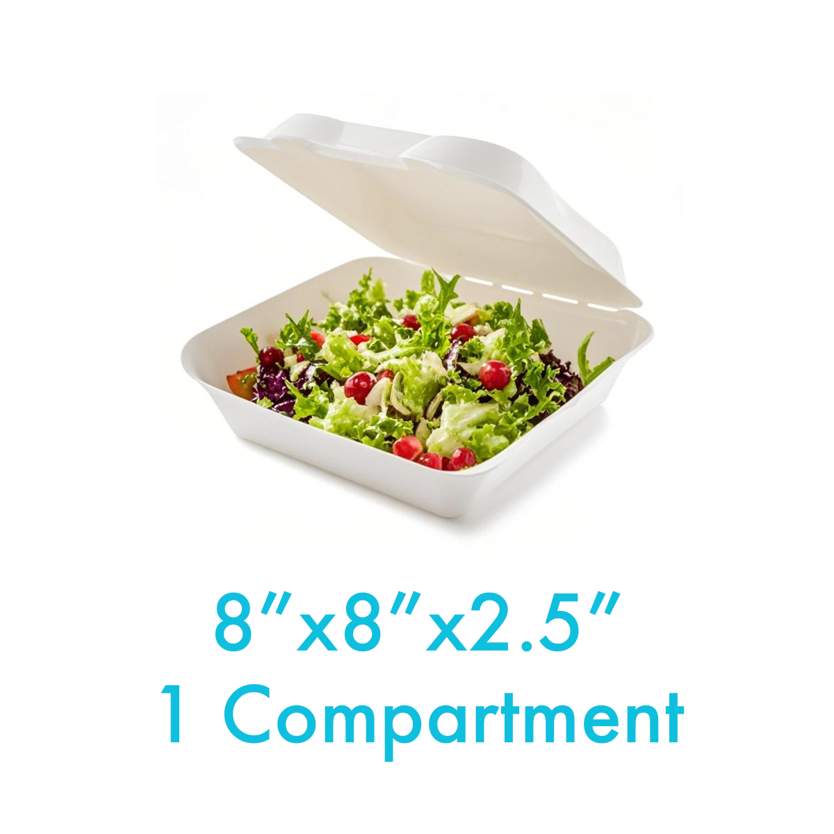 8" x 8" x 2.5" - Bagasse Clamshell Containers 1 Compartment - Carton of 200