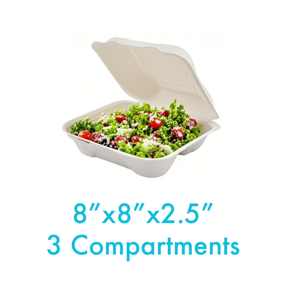 8" x 8" x 2.5" - Bagasse Clamshell Containers 3 Compartments - Carton of 200