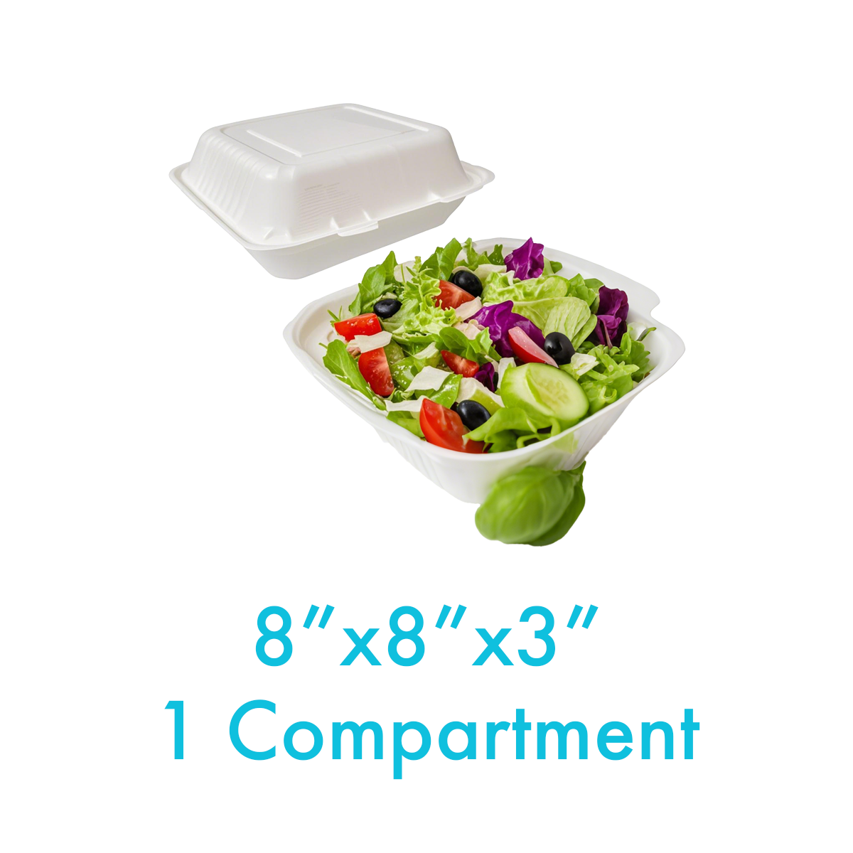 8" x 8" x 3" - Bagasse Clamshell Containers 1 Compartment - Carton of 200