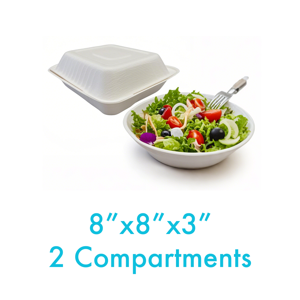 8" x 8" x 3" - Bagasse Clamshell Containers 2 Compartments - Carton of 200