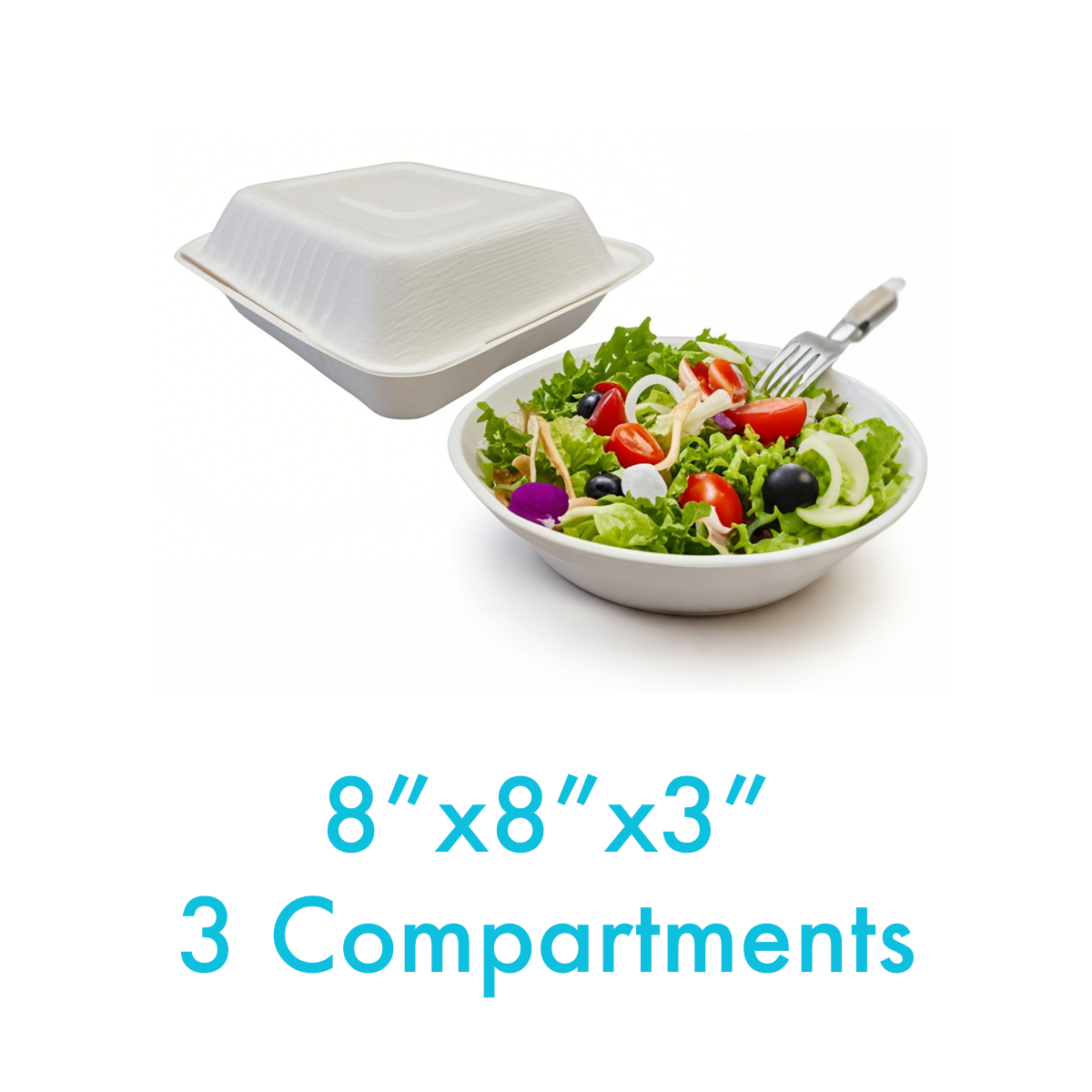 8" x 8" x 3" - Bagasse Clamshell Containers 3 Compartments - Carton of 200