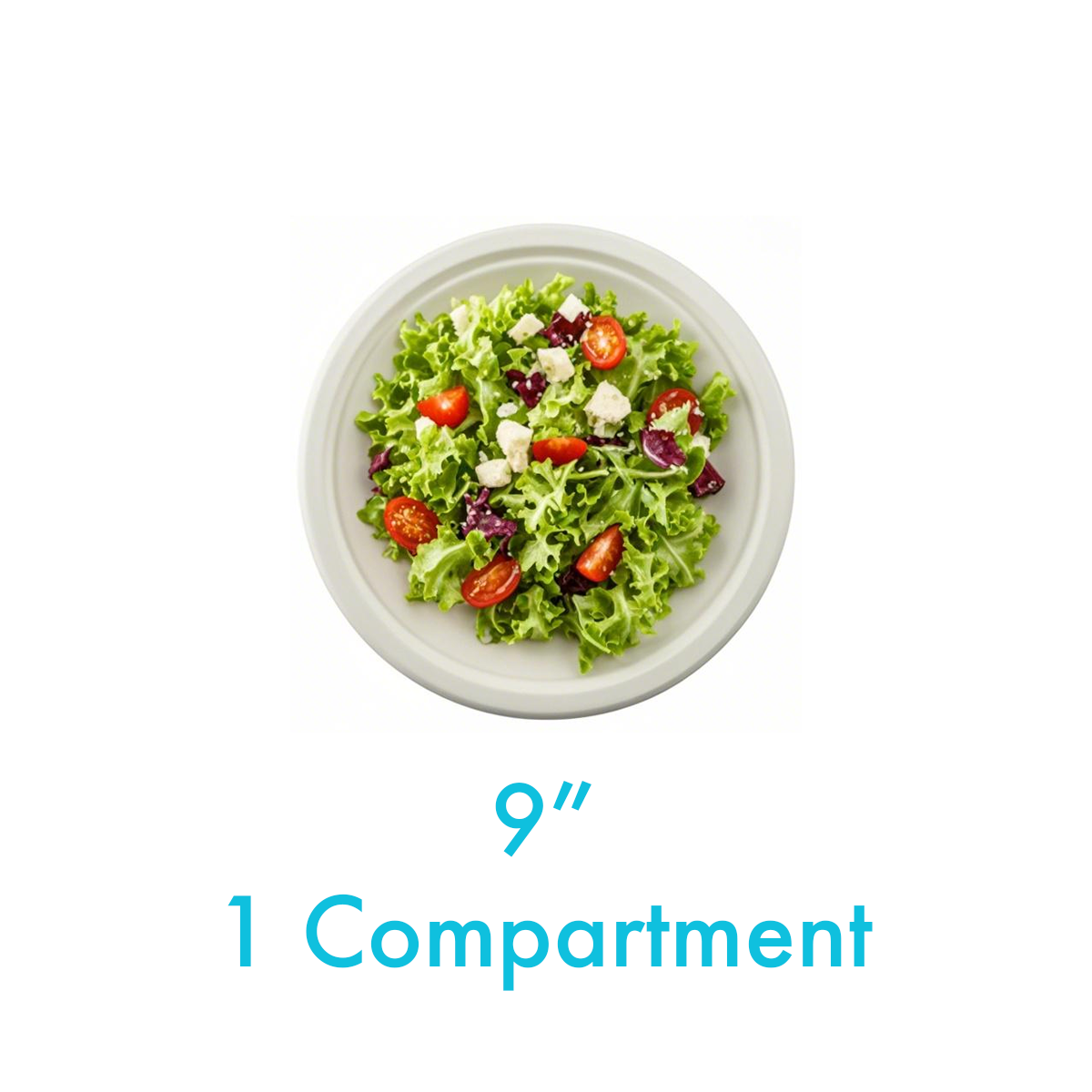 9" - Bagasse Round Plate - Carton of 500