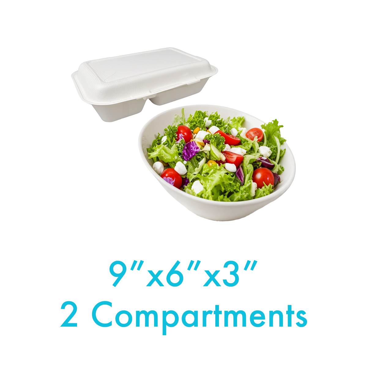 9" x 6" x 3" - Bagasse Clamshell Containers 2 Compartments - Carton of 250