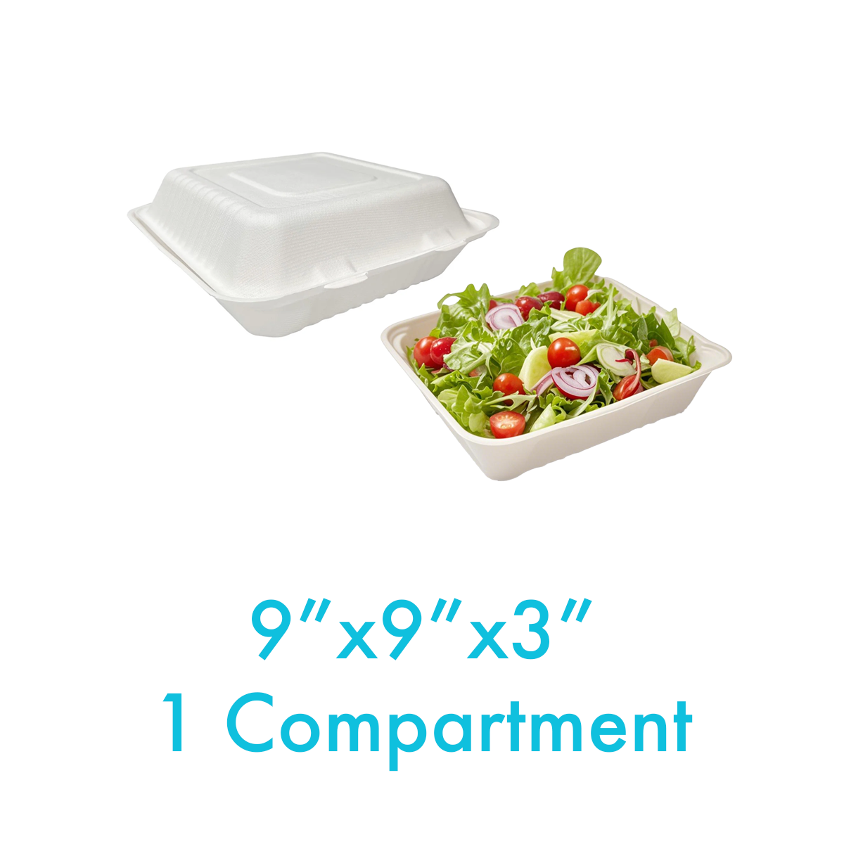9" x 9" x 3" - Bagasse Clamshell Containers 1 Compartment - Carton of 200