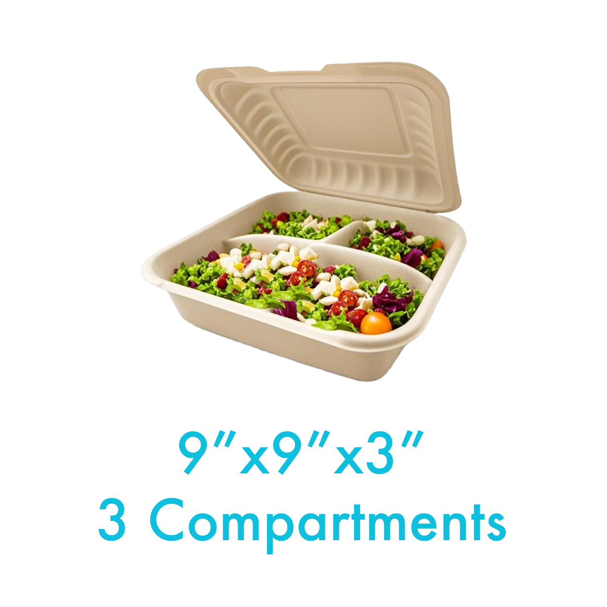 9" x 9" x 3" - Pebble Clamshell Hamburger Box - 3-Compartment - Carton of 150