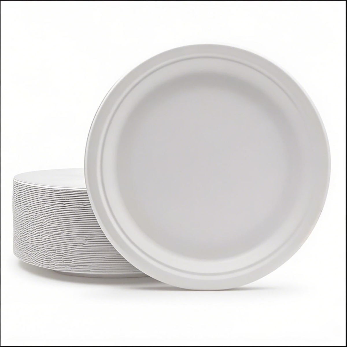 10" - Bagasse Round Plate - Carton of 500