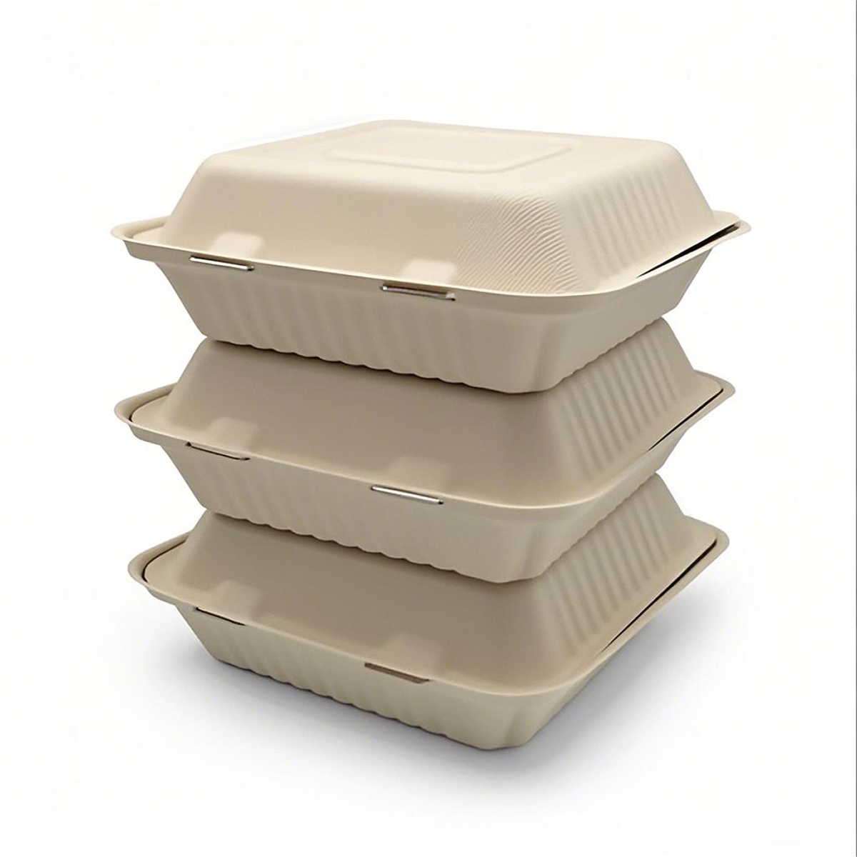 8" x 8" x 3" - Bagasse Clamshell Containers 2 Compartments - Carton of 200