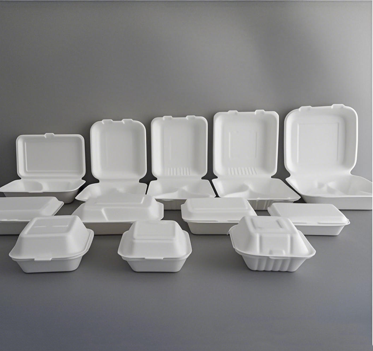 9" x 6" x 3" - Bagasse Clamshell Containers 1 Compartment - Carton of 200